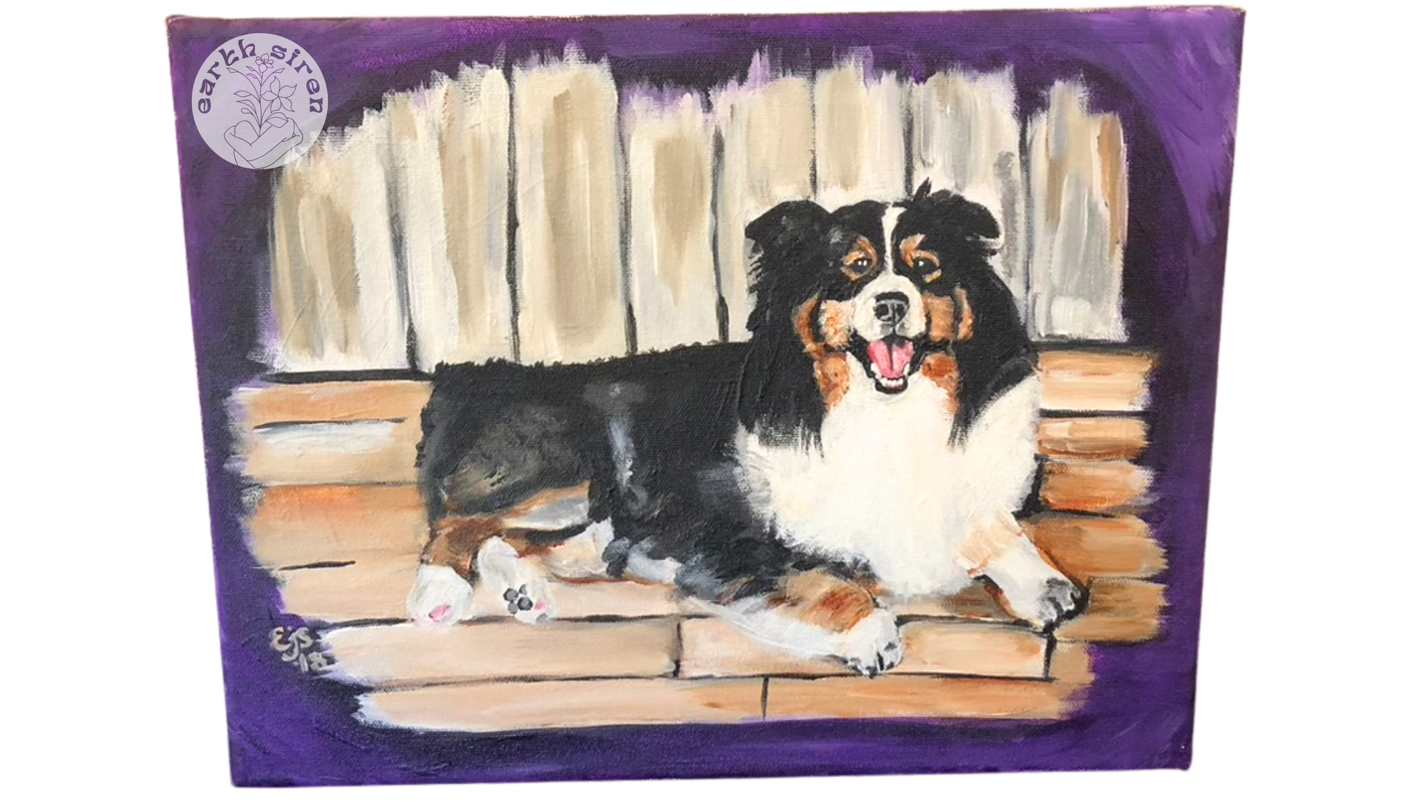 Acrylic pet portrait by Elizabeth Schirk for The Earth Siren of an Australian Shepherd lounging on a porch with a purple background