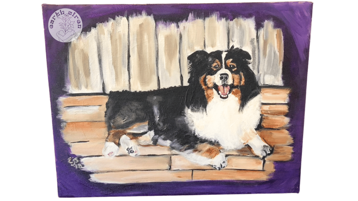 Acrylic pet portrait by Elizabeth Schirk for The Earth Siren of an Australian Shepherd lounging on a porch with a purple background