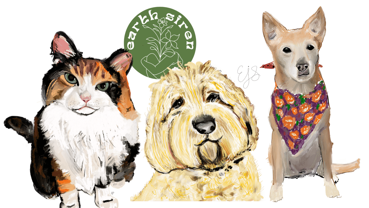 Digital pet portraits by Elizabeth Schirk for The Earth Siren showing a cat and two dogs with hand-drawn detail and soft colors. Earth Siren logo above